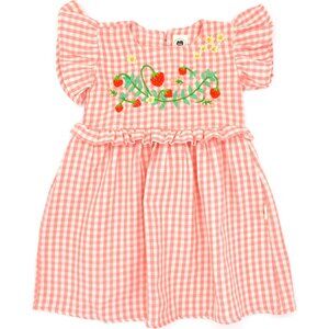 Folklore Las Ninas Cece Girl's Dress, embroidered Strawberries Size 2T